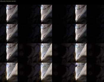 fuckinuallnite