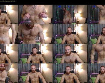 king_harley