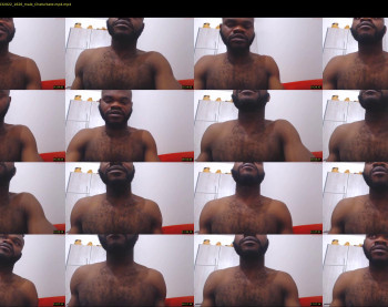 anacondaxxxexpress