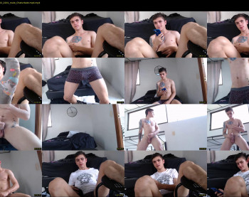 daniel_collins07