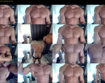 flex_x_x