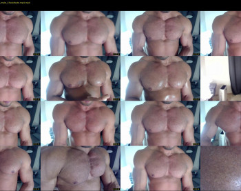 flex_x_x