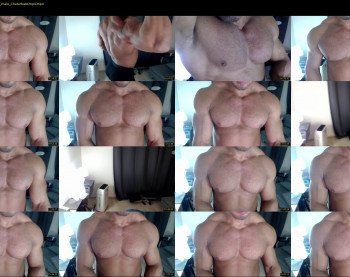 flex_x_x