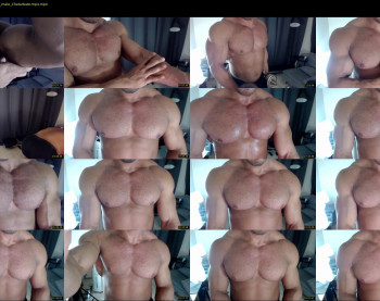 flex_x_x