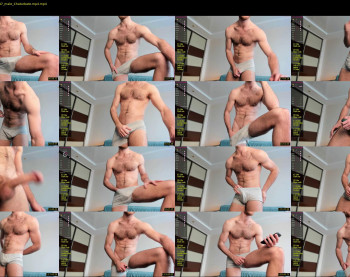 hot_bear_