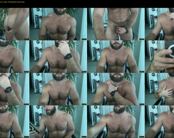 southflbeef