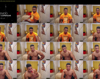 teddyfit19cm