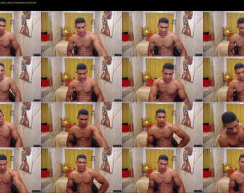 teddyfit19cm