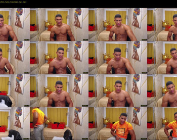 teddyfit19cm