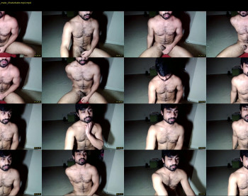 toyboyq