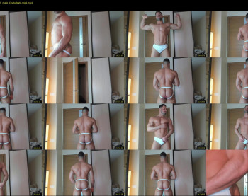 _adam19
