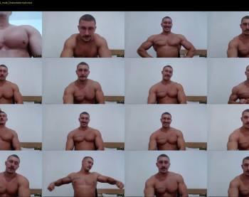 angelofit