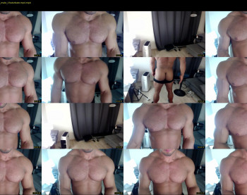 flex_x_x