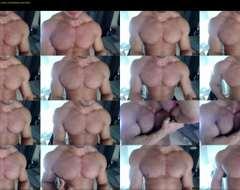 flex_x_x