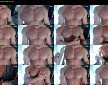 flex_x_x