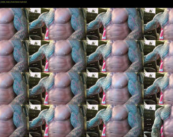 hardbody205a