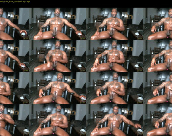 pantherforever207