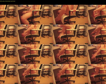 rick_stallion