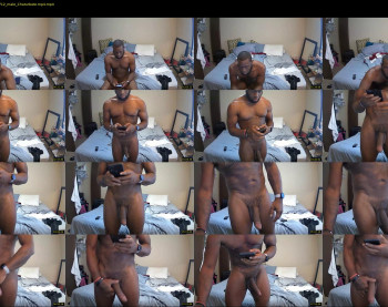 sheed8019