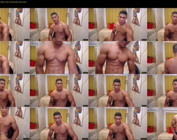 teddyfit19cm