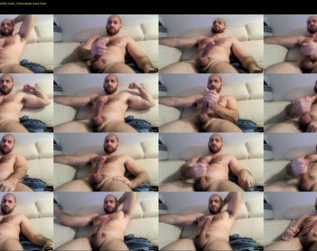 wolfdudefun
