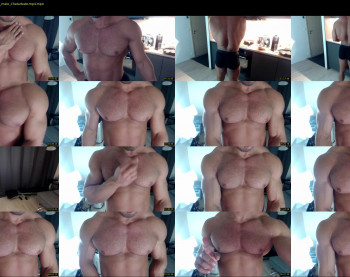 flex_x_x