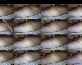 indecente82