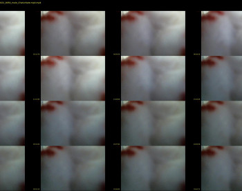 monstercock6475