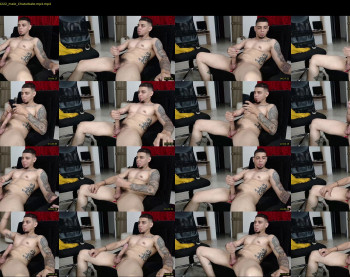 stephalverto