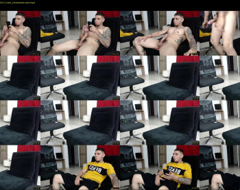 stephalverto