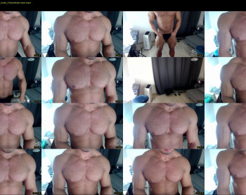 flex_x_x
