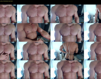 flex_x_x