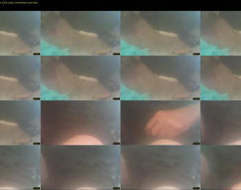 hornysteven88