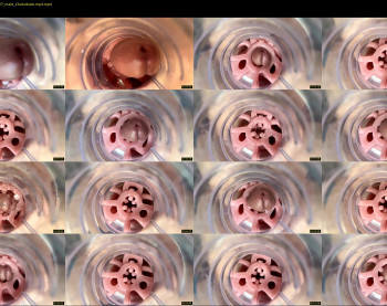 jkrubs665