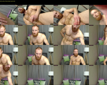 king_harley