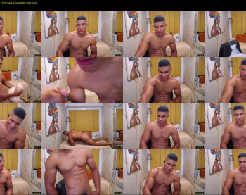 teddyfit19cm