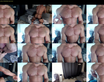 flex_x_x