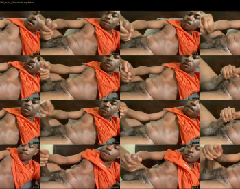 alphabbc77