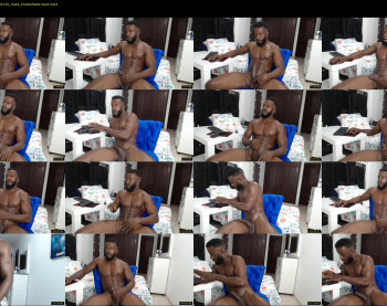 dalehamilton