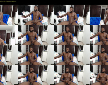 dalehamilton