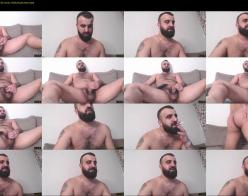 djefri_bear