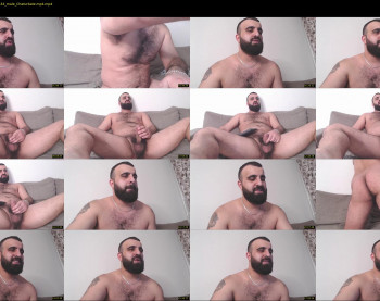 djefri_bear