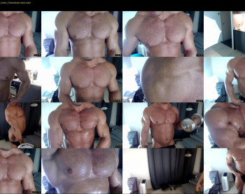 flex_x_x