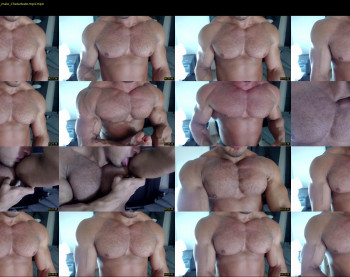 flex_x_x