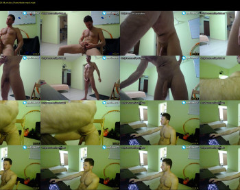 apollobest77