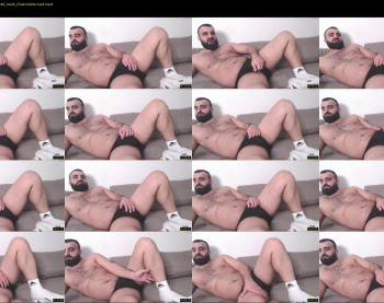 djefri_bear