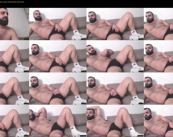 djefri_bear