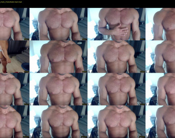 flex_x_x