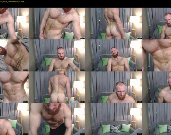 king_harley