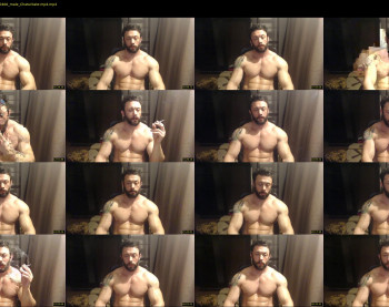 stevebulkzor